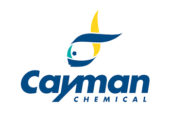 نمایندگی فروش محصولات شرکت Cayman کیمن