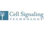 نمایندگی فروش محصولات شرکت Cell Signaling Technology (CST)