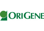 نمایندگی فروش محصولات شرکت ORIGENE اوریژن