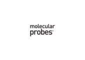 نمایندگی فروش محصولات شرکت Molecular probes مولکولار پروب