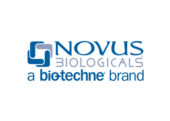 نمایندگی فروش محصولات شرکت NOVUS BIOLOGICALS